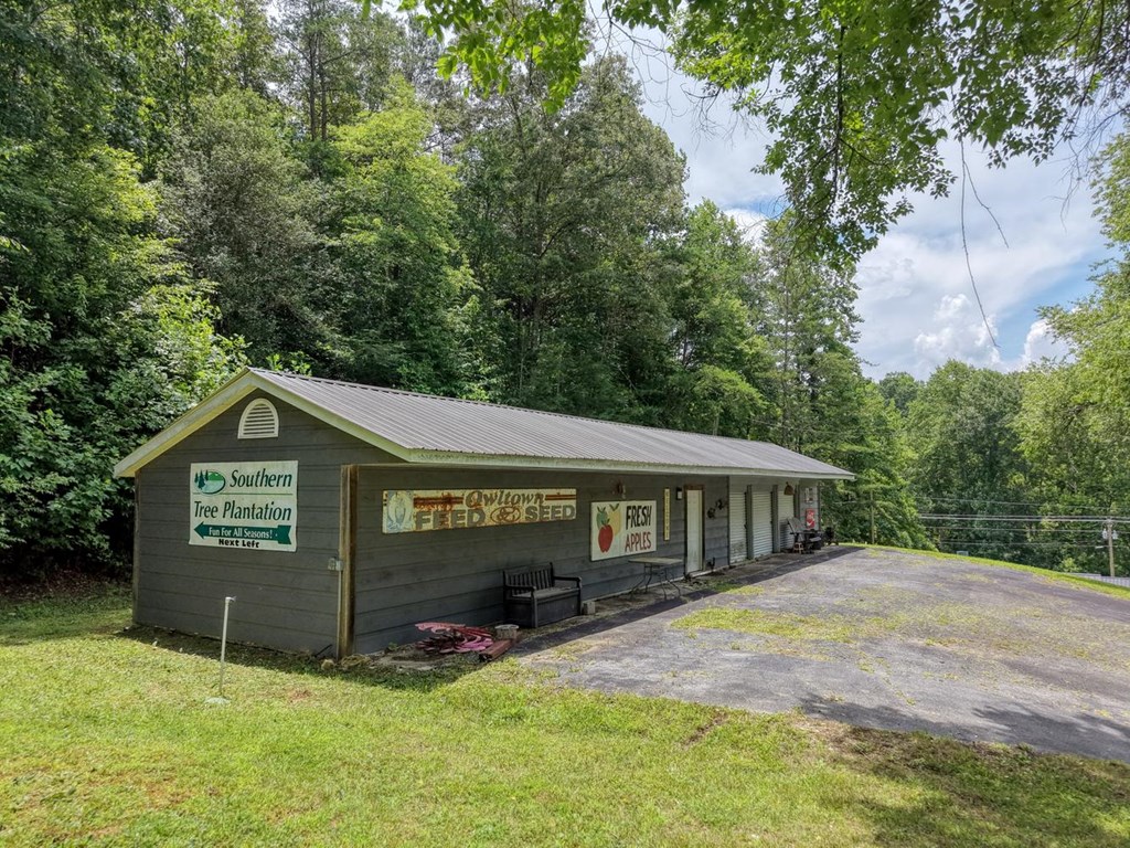 119 Satterfield Place Property Photo 3