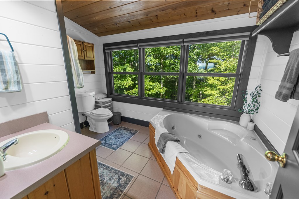 832 Scenic Mountain View Road Property Photo 21