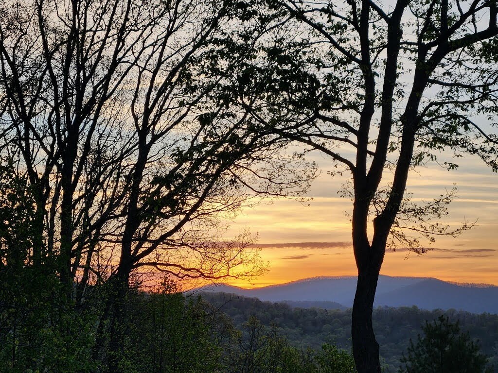 832 Scenic Mountain View Road Property Photo 48