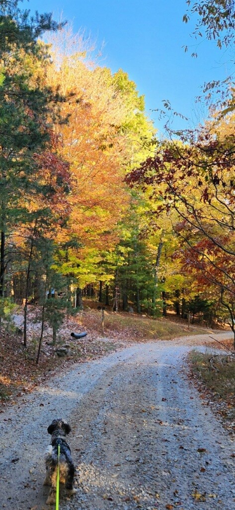 832 Scenic Mountain View Road Property Photo 50