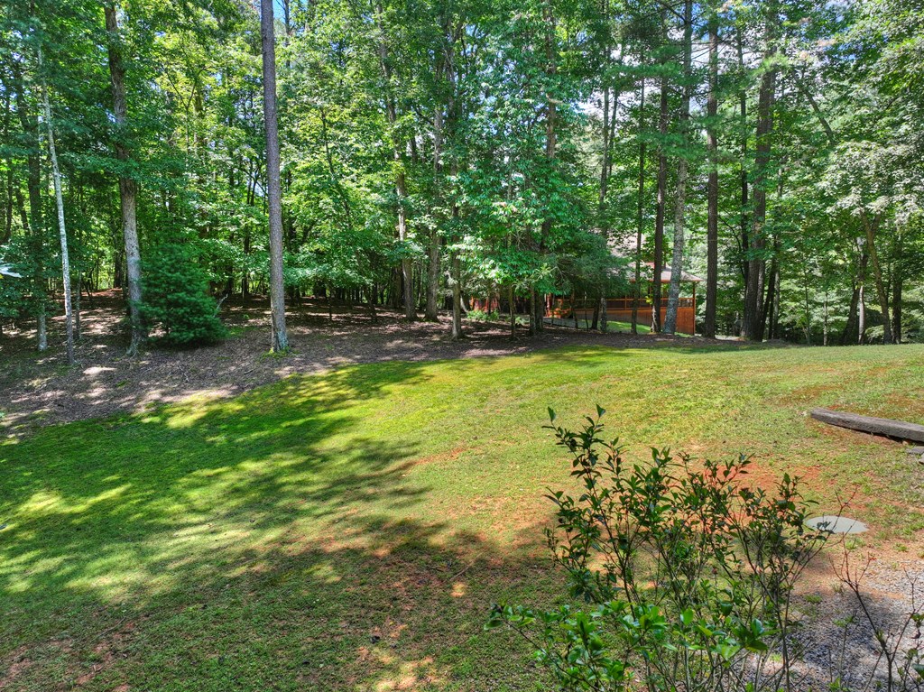 199 Hillsdale Drive Property Photo 7