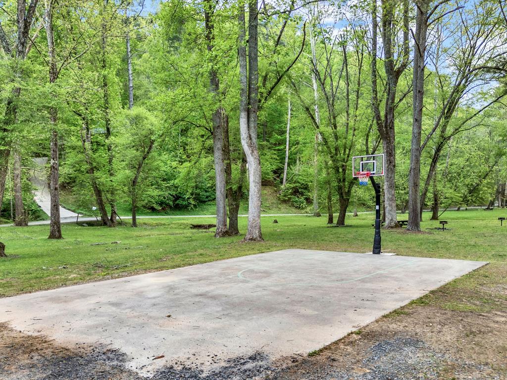 199 Hillsdale Drive Property Photo 72