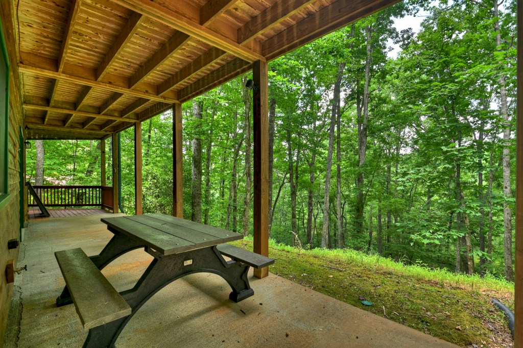 316 Pigeon Creek Road Property Photo 60