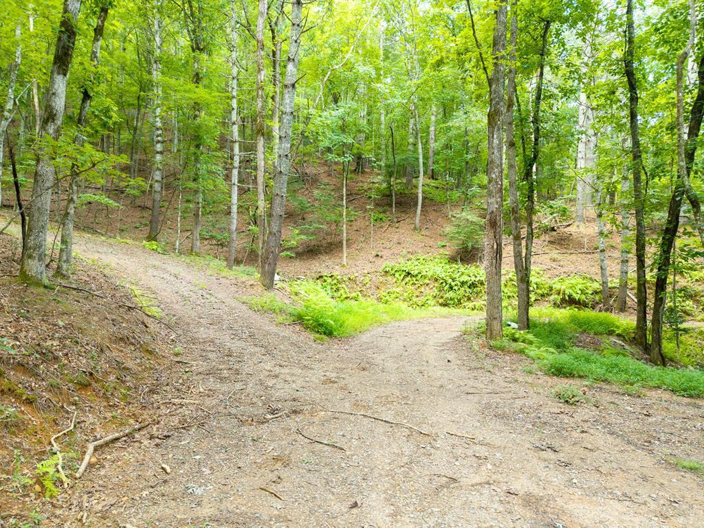 0 Smith Hollow Drive Property Photo 2