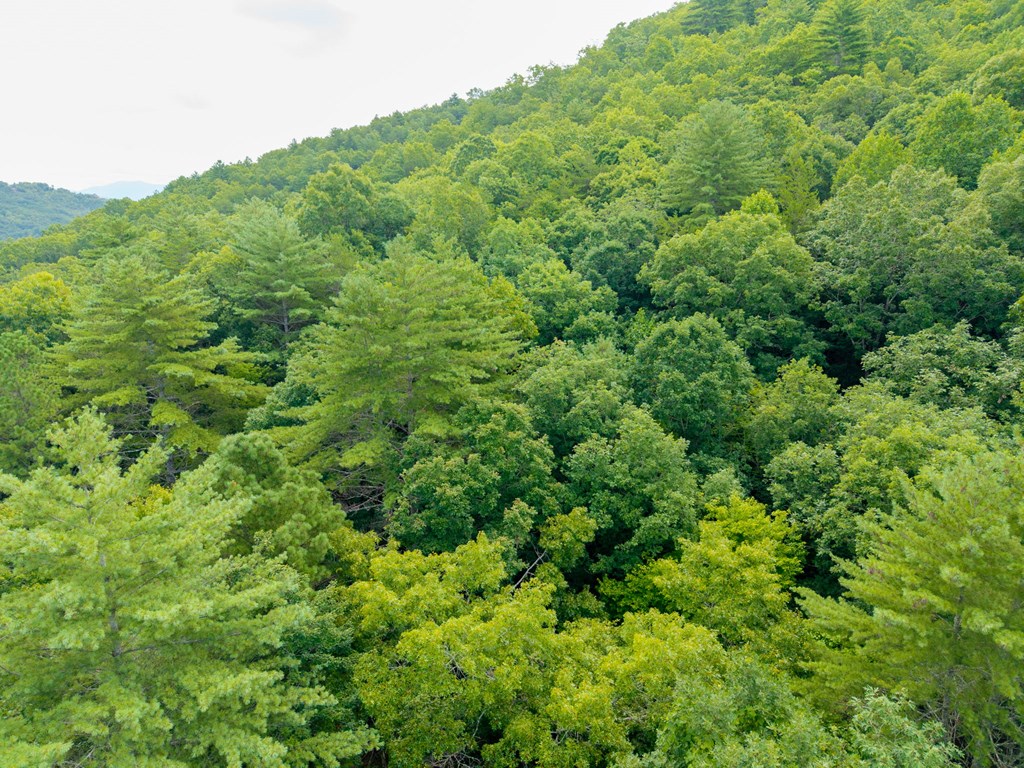 0 Smith Hollow Drive Property Photo 6