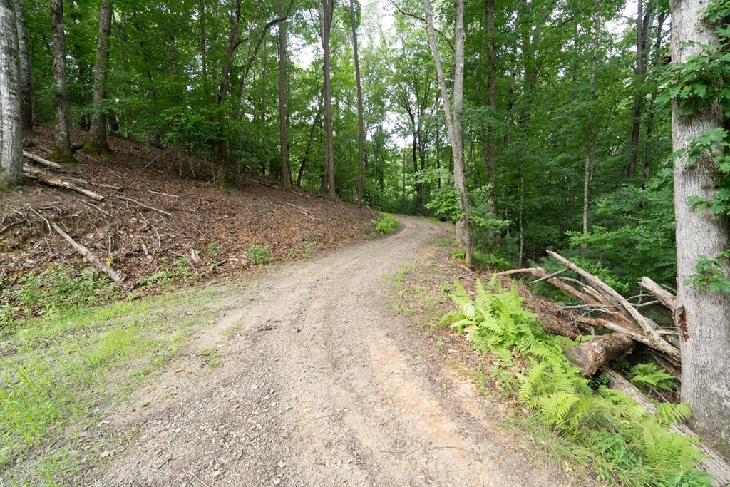 0 Smith Hollow Drive Property Photo 11