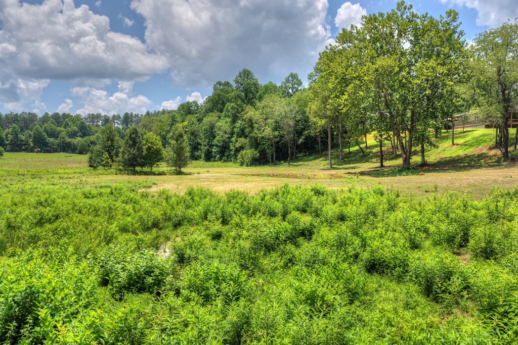 2125 Shady Grove Road Property Photo 4