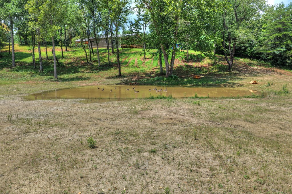 2125 Shady Grove Road Property Photo 44