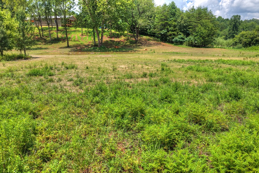 2125 Shady Grove Road Property Photo 45
