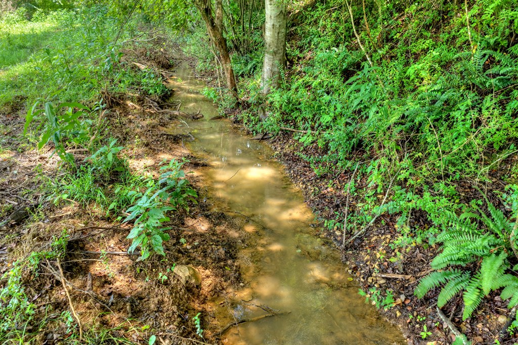 2125 Shady Grove Road Property Photo 47