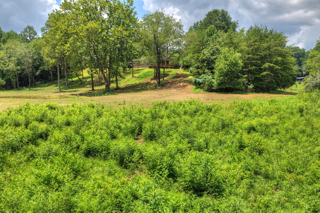2125 Shady Grove Road Property Photo 49