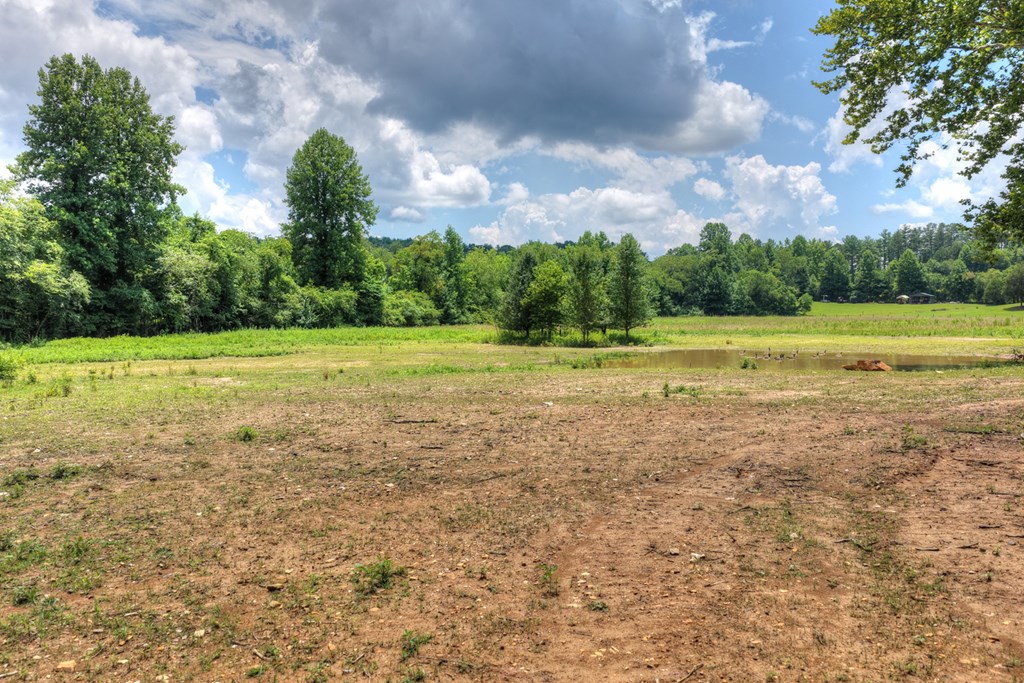 2125 Shady Grove Road Property Photo 50