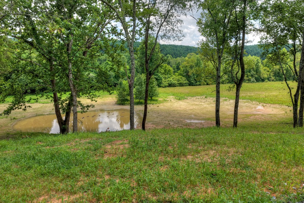 2125 Shady Grove Road Property Photo 51