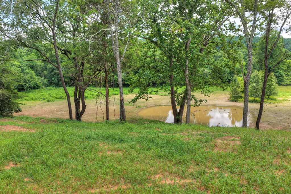 2125 Shady Grove Road Property Photo 52