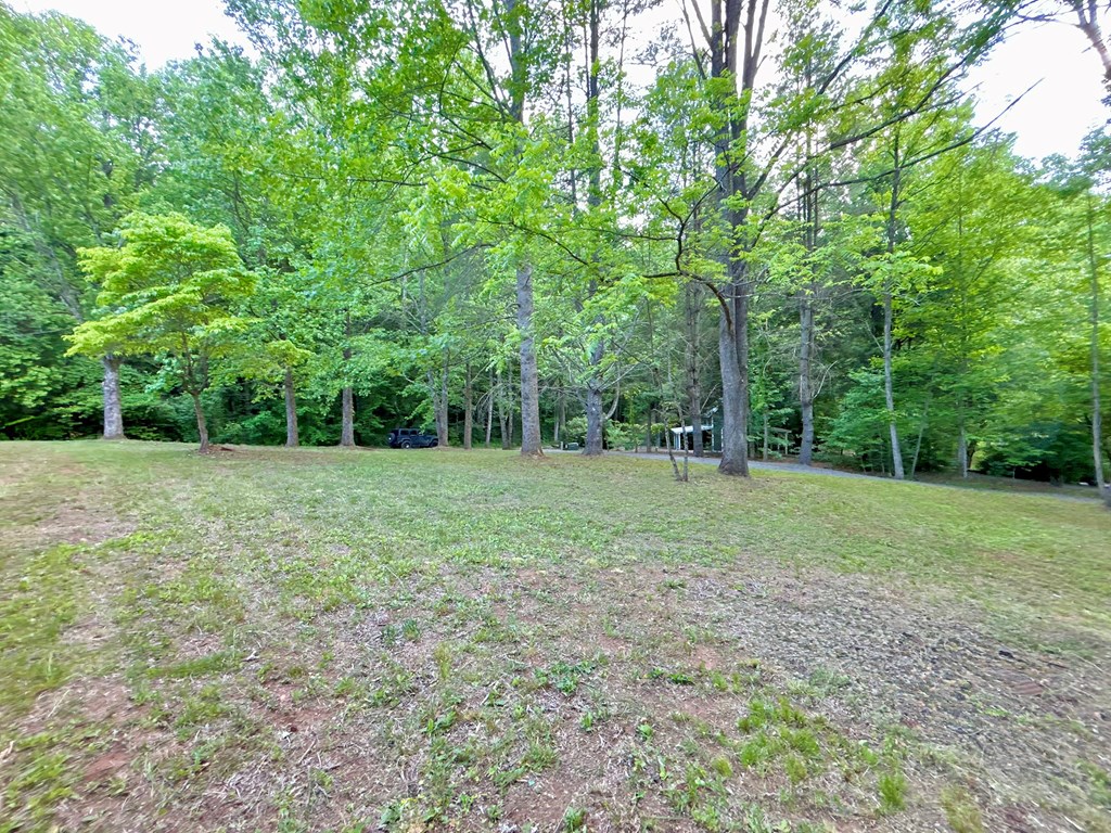 Lt 5 Spiva Cove Road Property Photo 7