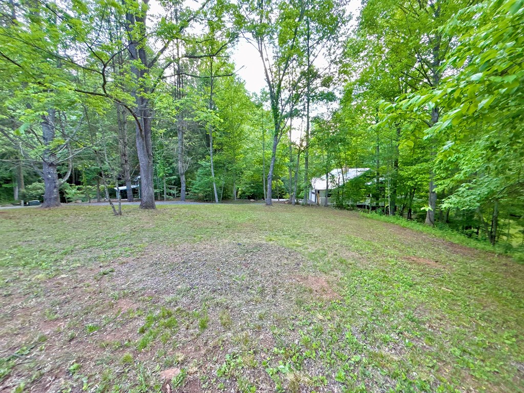 Lt 5 Spiva Cove Road Property Photo 11