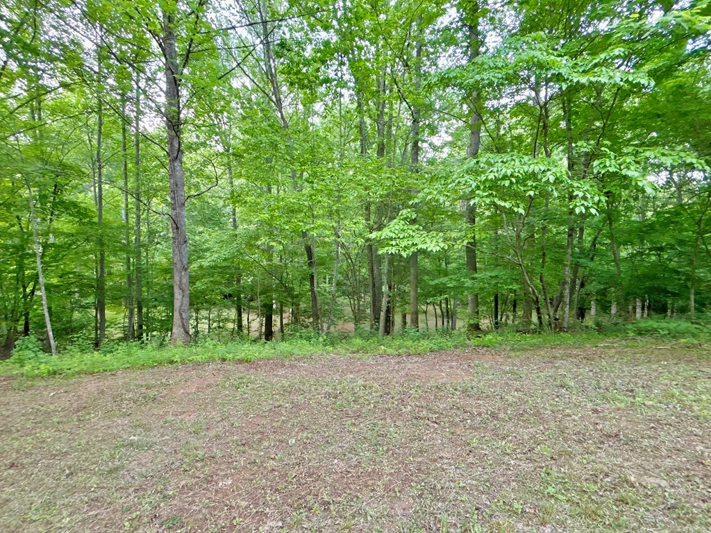 Lt 5 Spiva Cove Road Property Photo 15