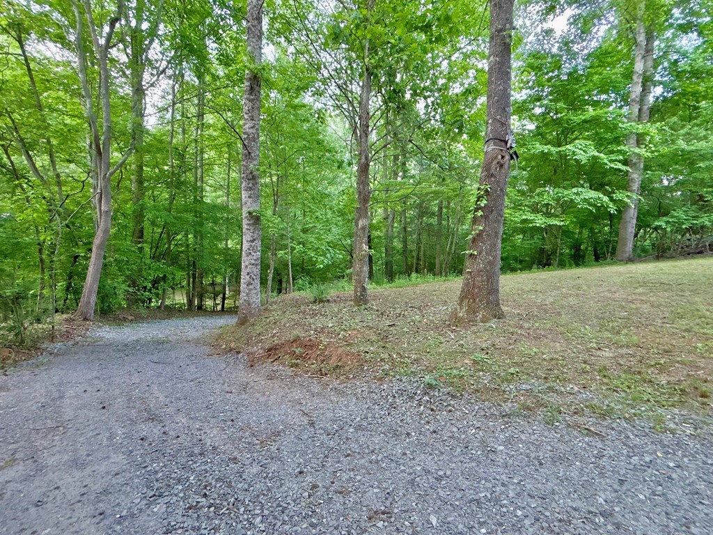 Lt 5 Spiva Cove Road Property Photo 16