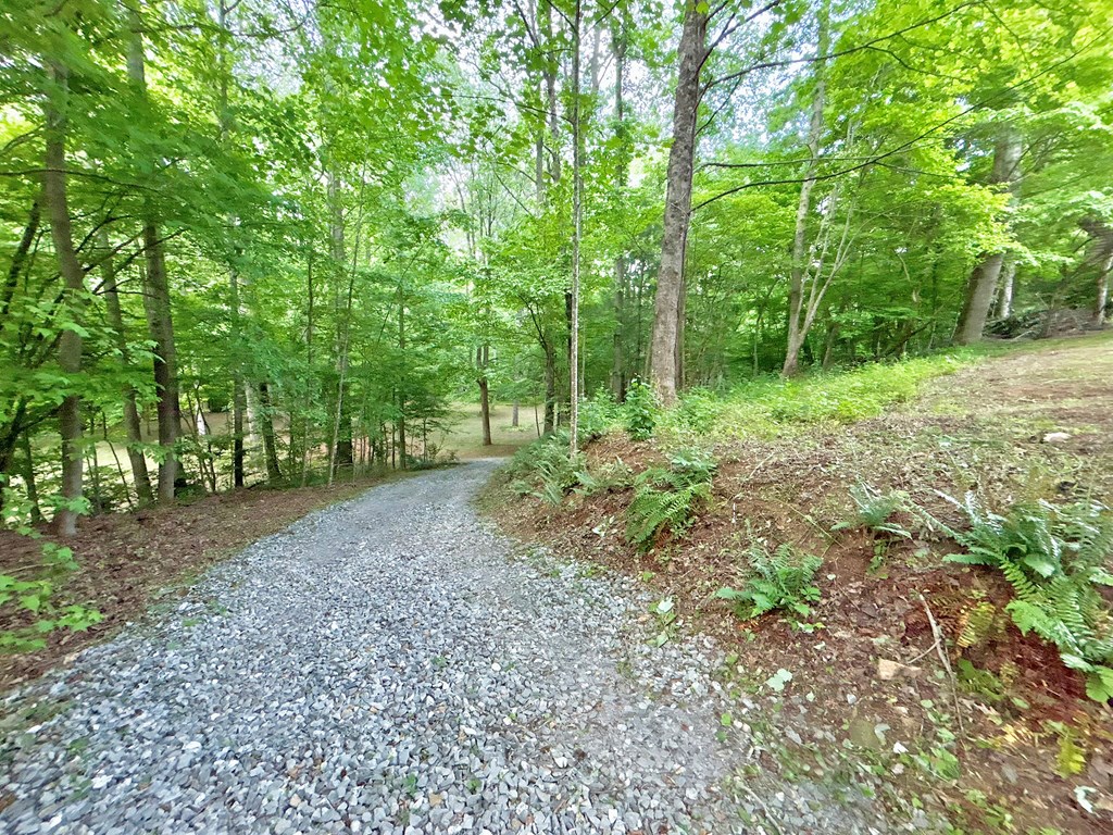 Lt 5 Spiva Cove Road Property Photo 20
