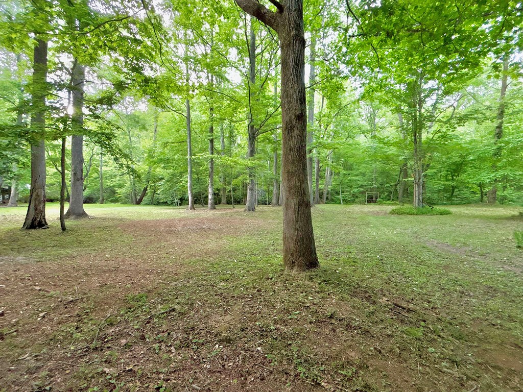 Lt 5 Spiva Cove Road Property Photo 23