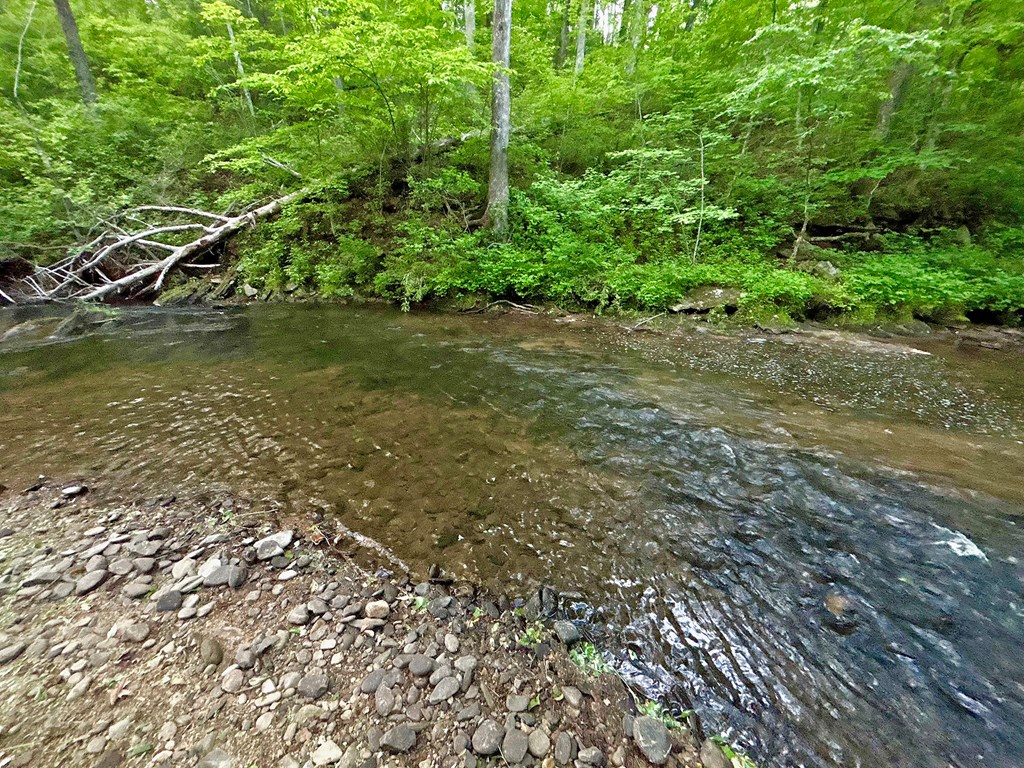 Lt 5 Spiva Cove Road Property Photo 35