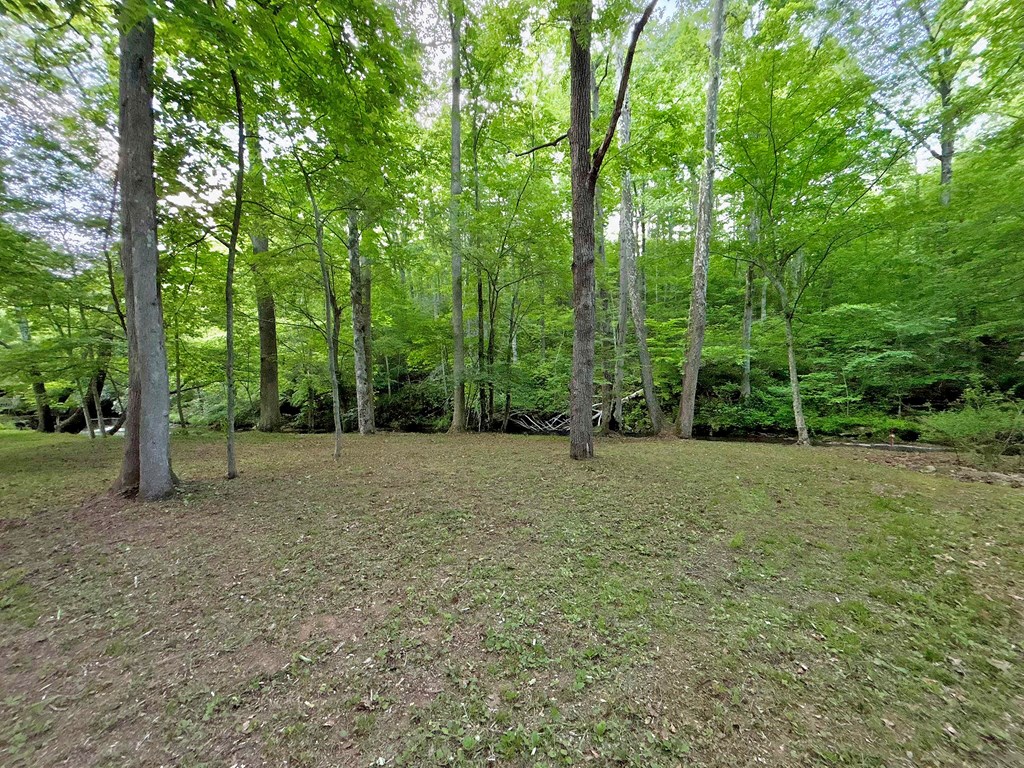 Lt 5 Spiva Cove Road Property Photo 38