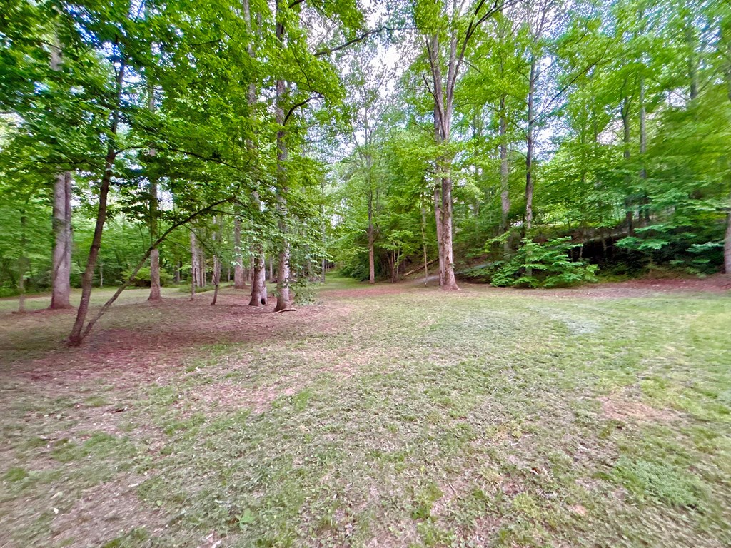 Lt 5 Spiva Cove Road Property Photo 44
