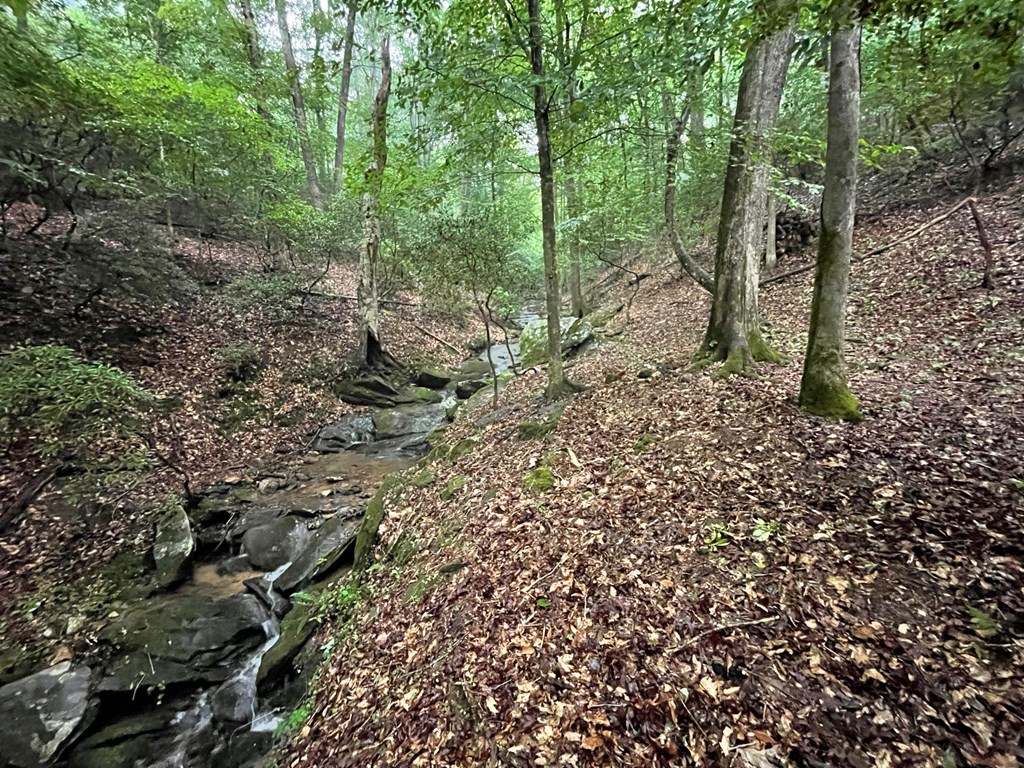 64 Kristin Lane Property Photo 17