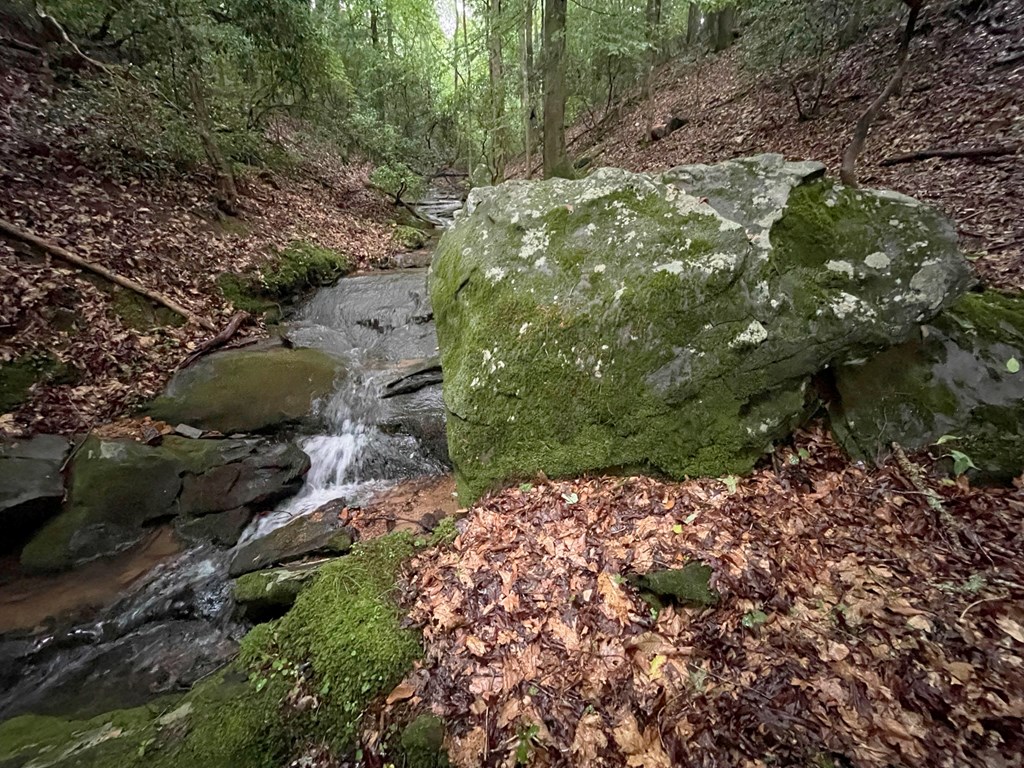64 Kristin Lane Property Photo 18