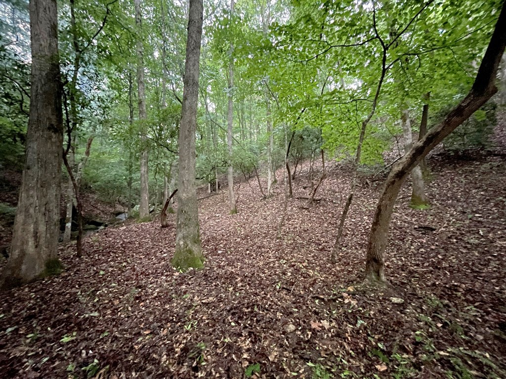 64 Kristin Lane Property Photo 22