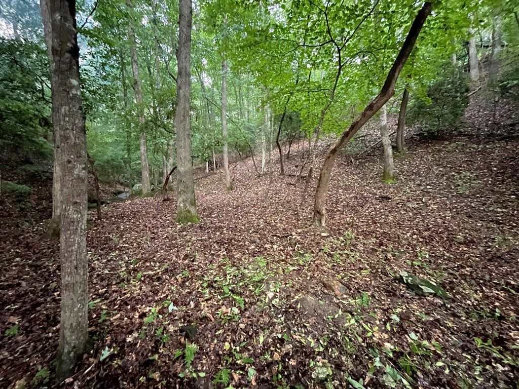 64 Kristin Lane Property Photo 25