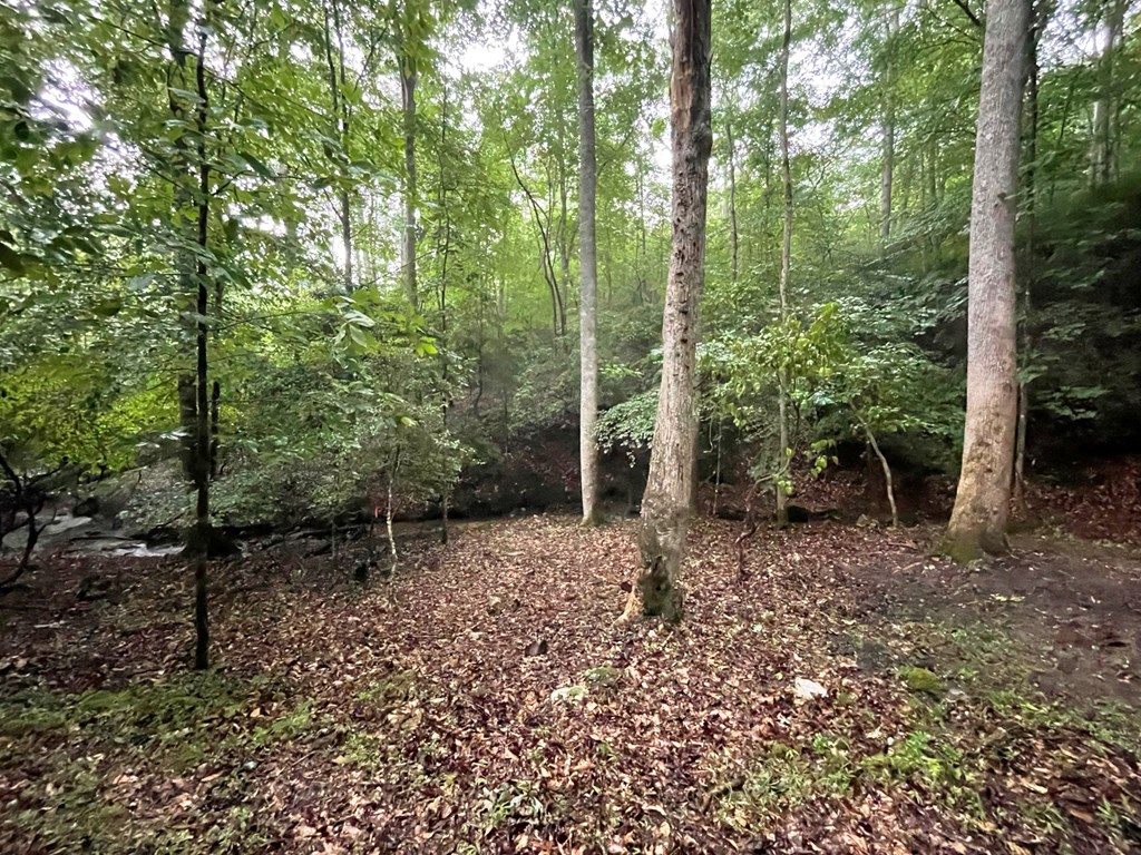 64 Kristin Lane Property Photo 26