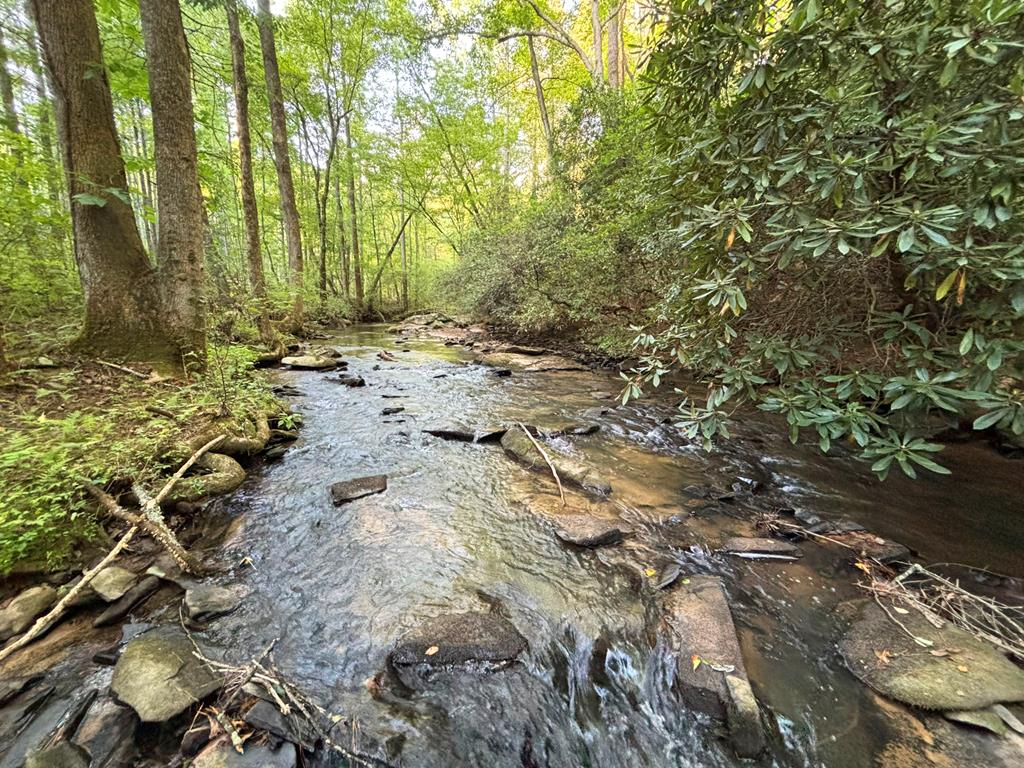 442 Mt. Springer Road Property Photo 1