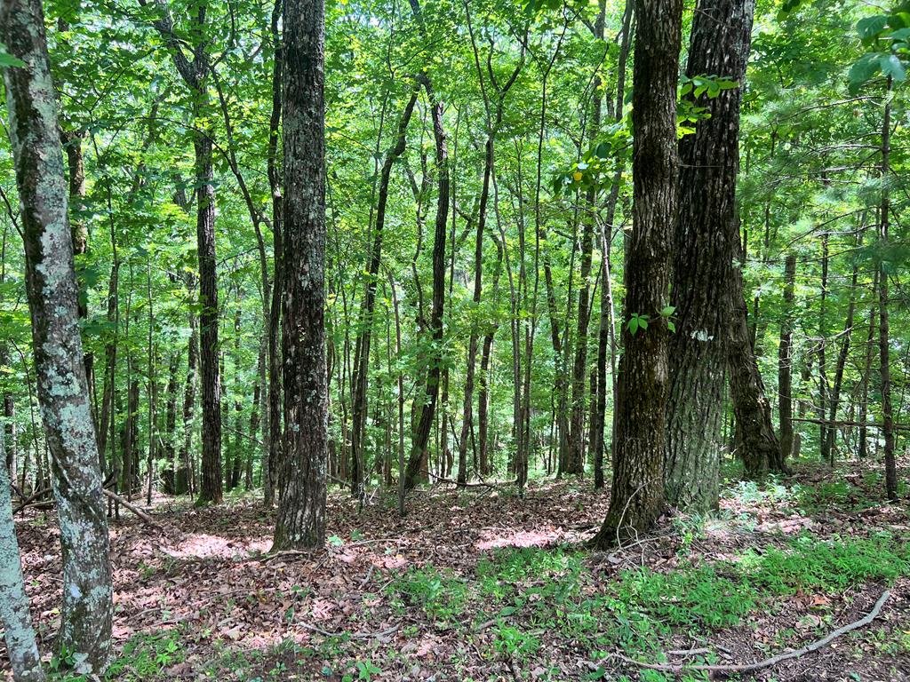 Ltg67-68 Mountain Oak Road Property Photo 1