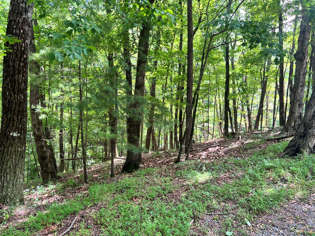 Ltg67-68 Mountain Oak Road Property Photo 2