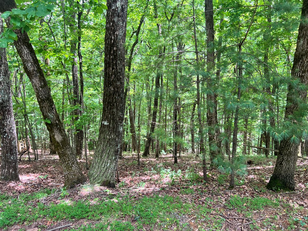 Ltg67-68 Mountain Oak Road Property Photo 3