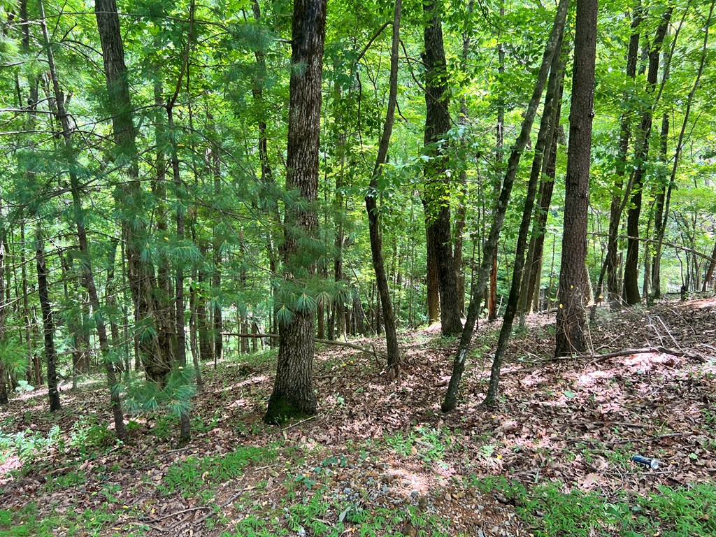 Ltg67-68 Mountain Oak Road Property Photo 4