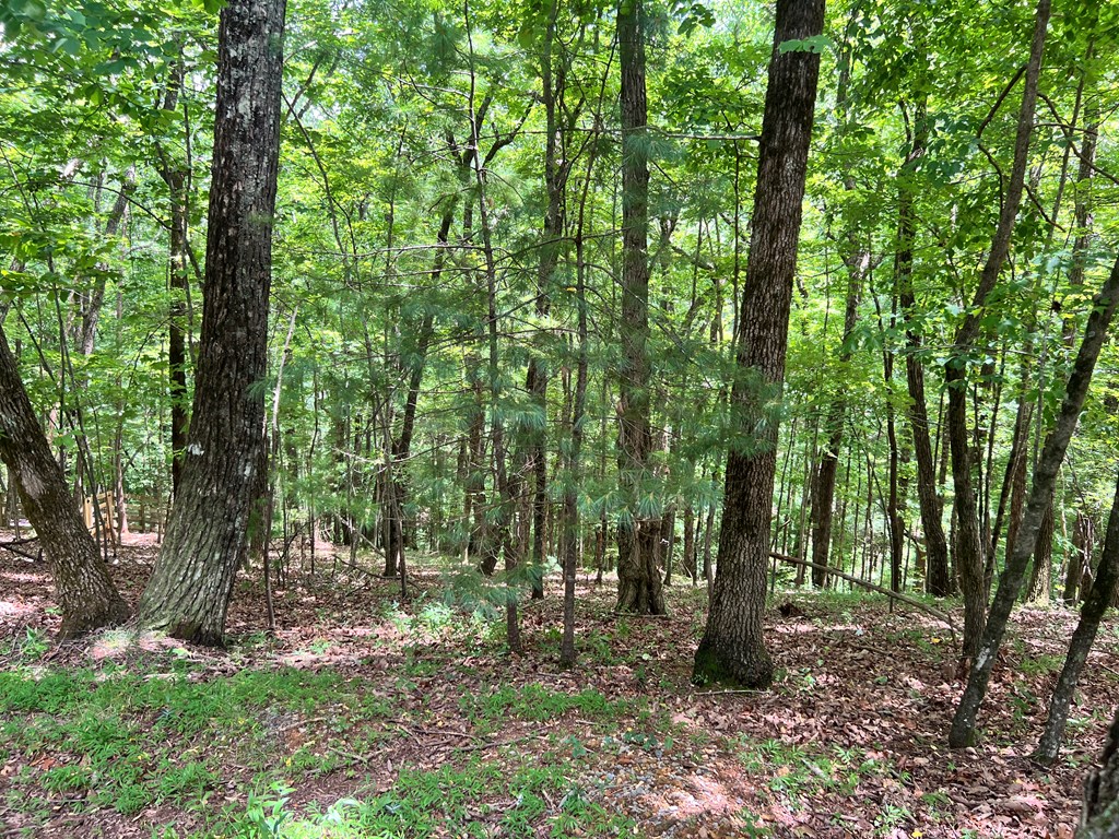 Ltg67-68 Mountain Oak Road Property Photo 7