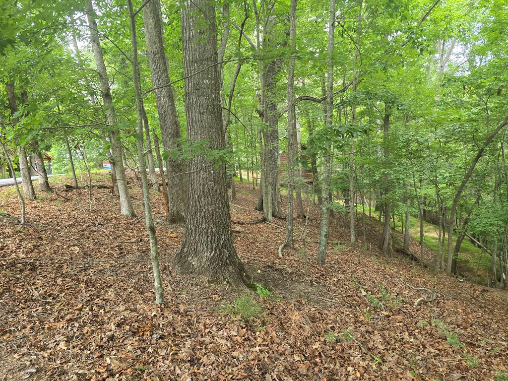 Lot 476 Riverview Drive Property Photo 1