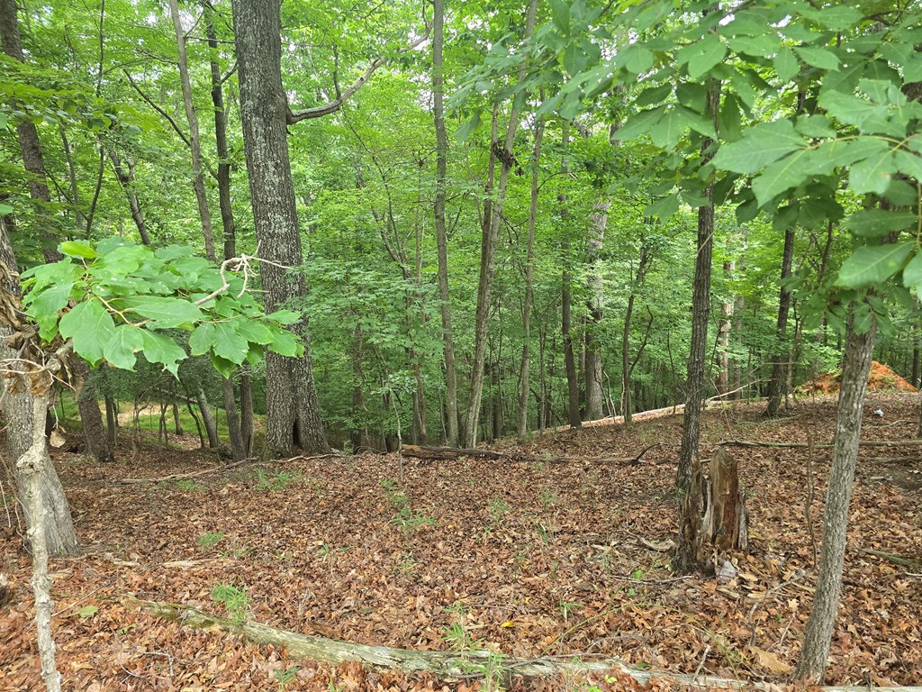 Lot 476 Riverview Drive Property Photo 2