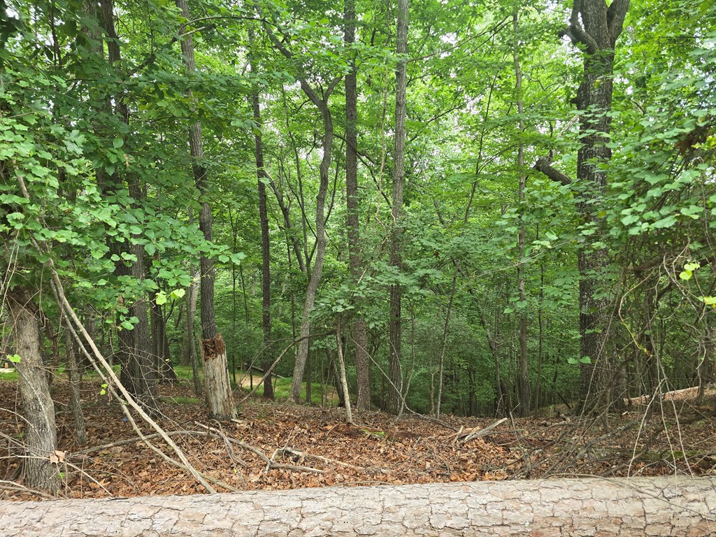 Lot 476 Riverview Drive Property Photo 3