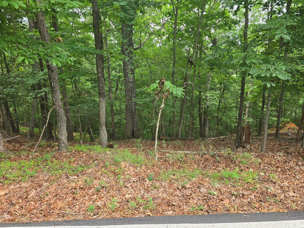 Lot 476 Riverview Drive Property Photo 4