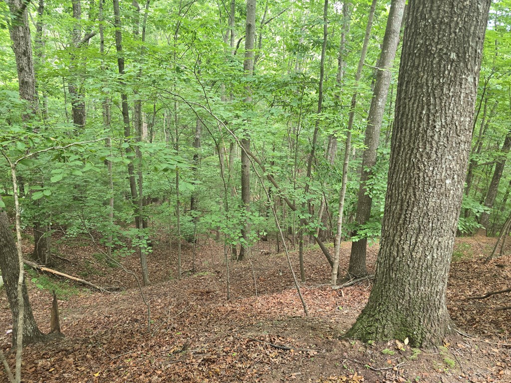 Lot 476 Riverview Drive Property Photo 5