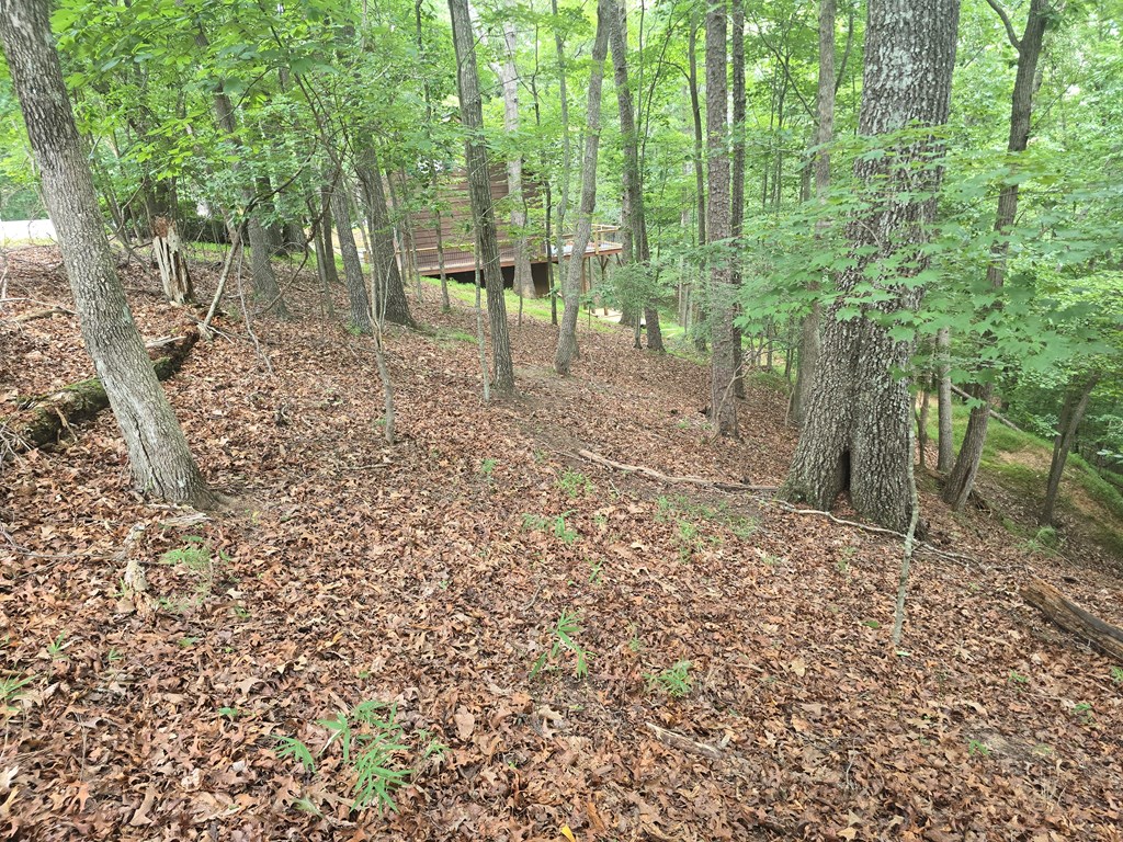 Lot 476 Riverview Drive Property Photo 6
