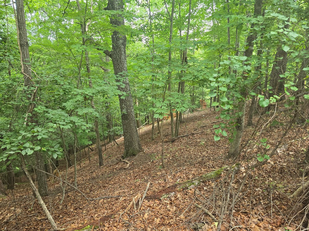 Lot 476 Riverview Drive Property Photo 7