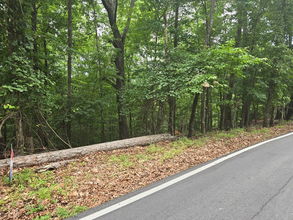 Lot 476 Riverview Drive Property Photo 8