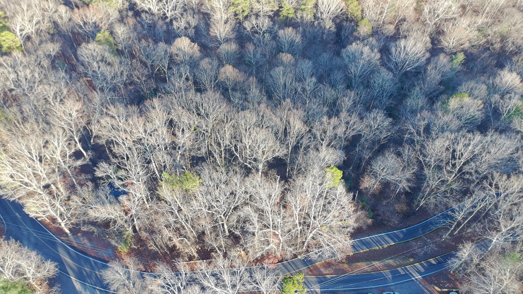 Lot 476 Riverview Drive Property Photo 11