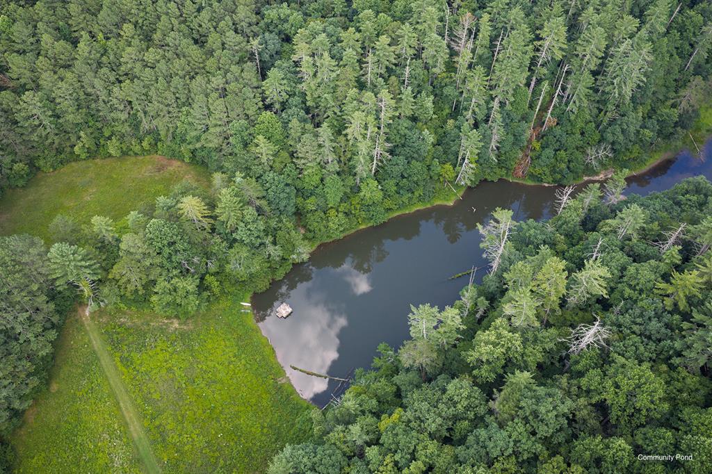 196 Creek Camp Road Property Photo 41