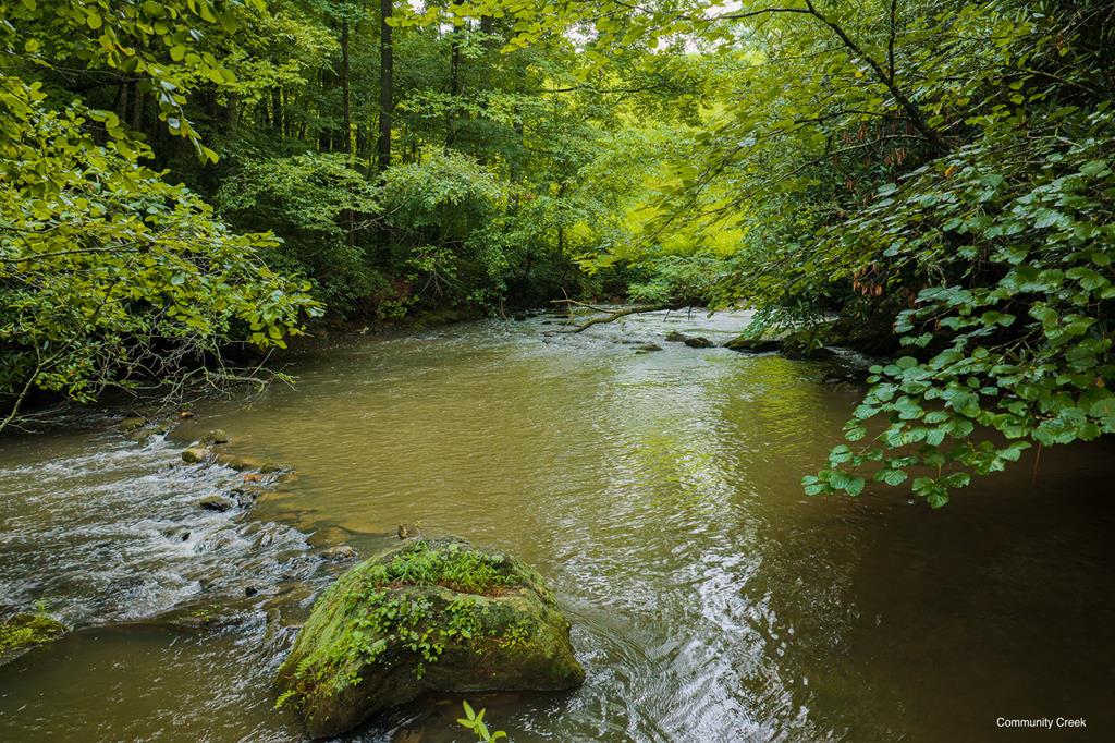 196 Creek Camp Road Property Photo 42