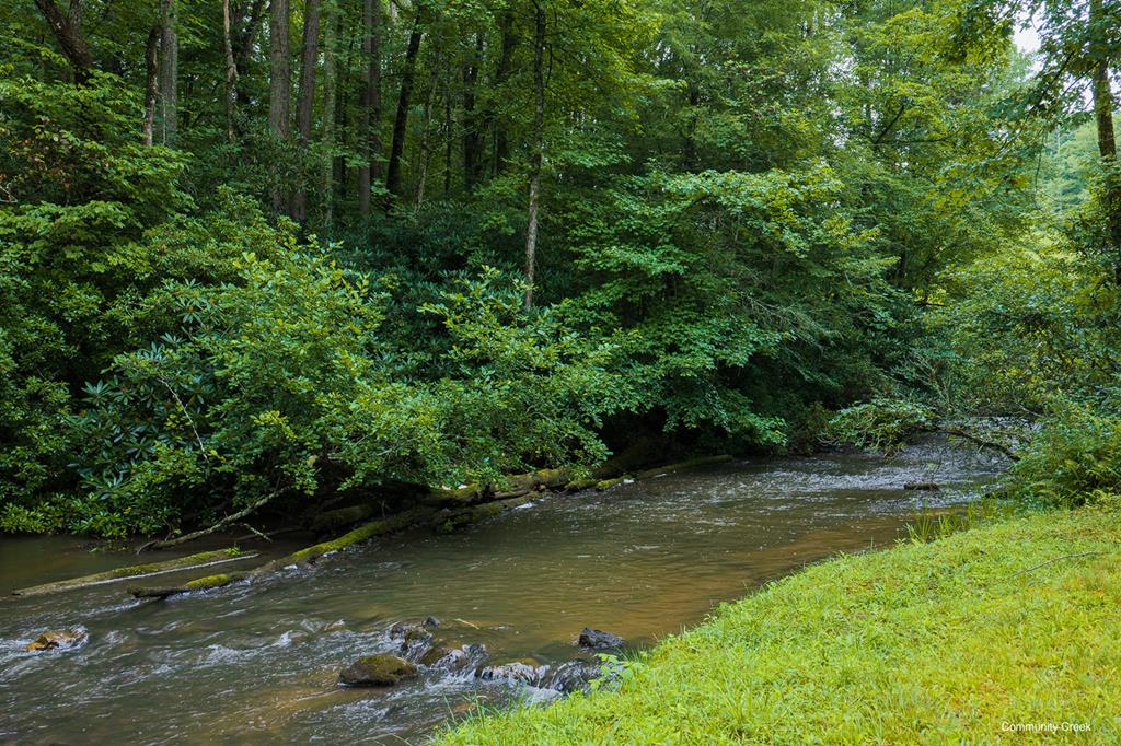 196 Creek Camp Road Property Photo 43